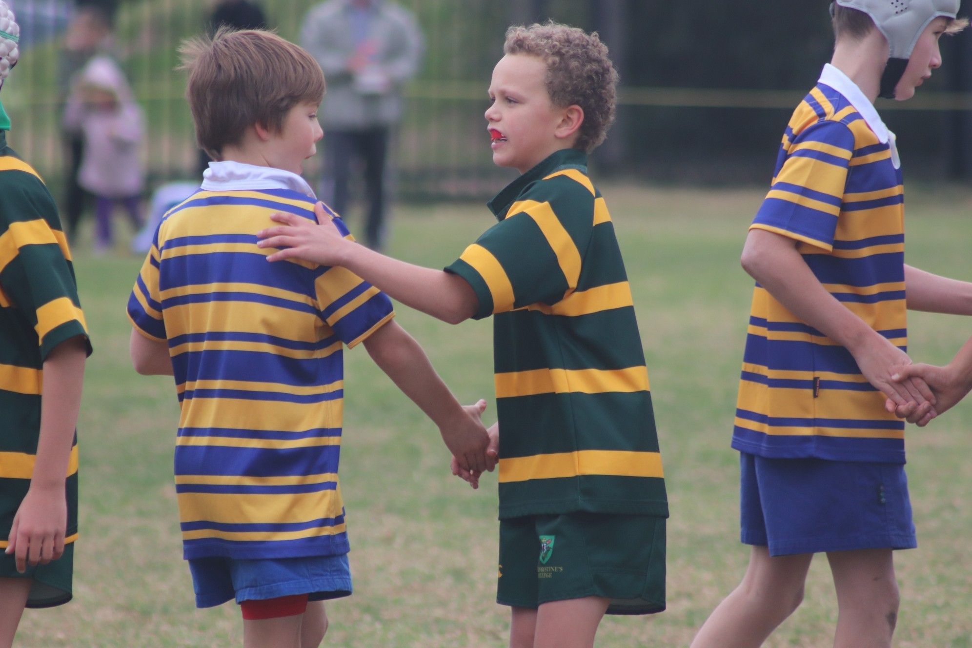 IMG_1133.JPG?mtime=20180604104117#asset:4416