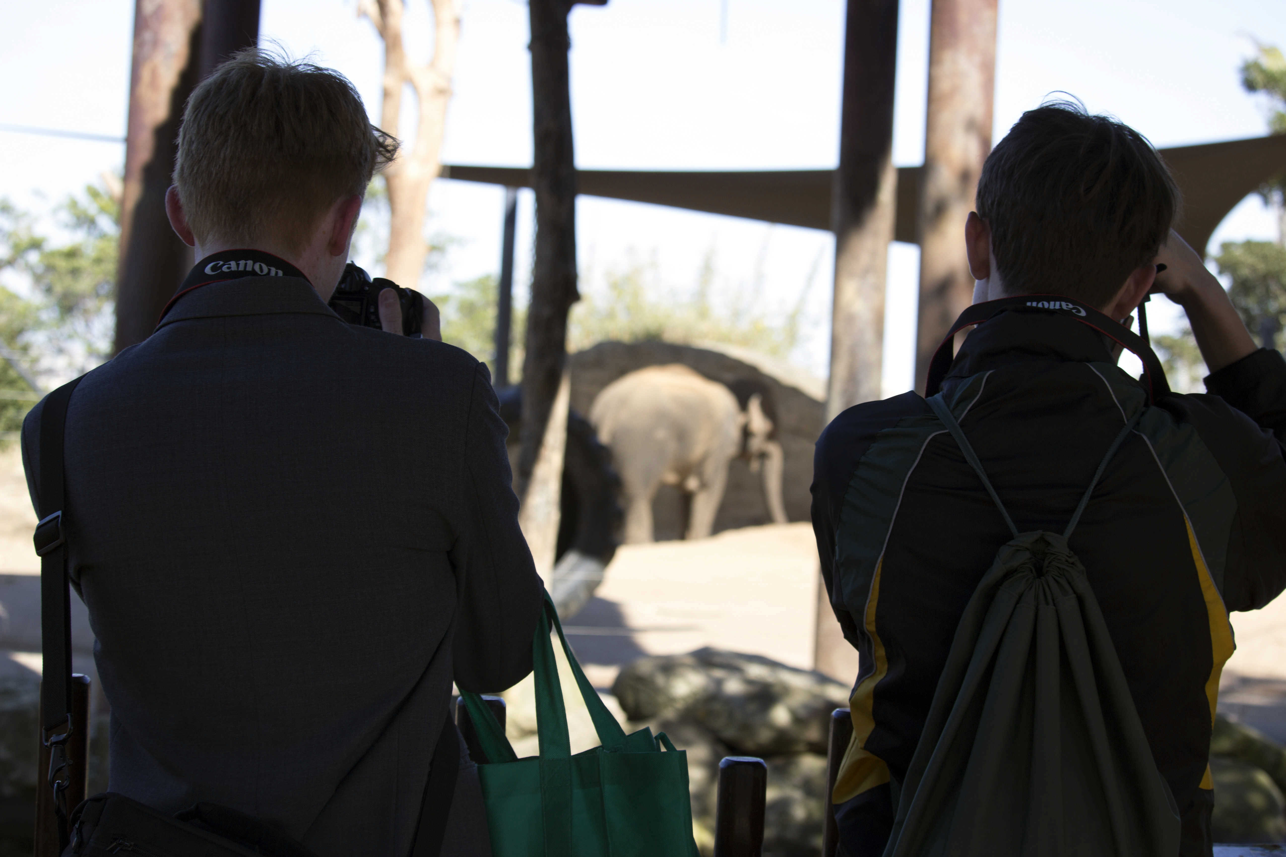 Zoo1.jpg?mtime=20180821142314#asset:7795