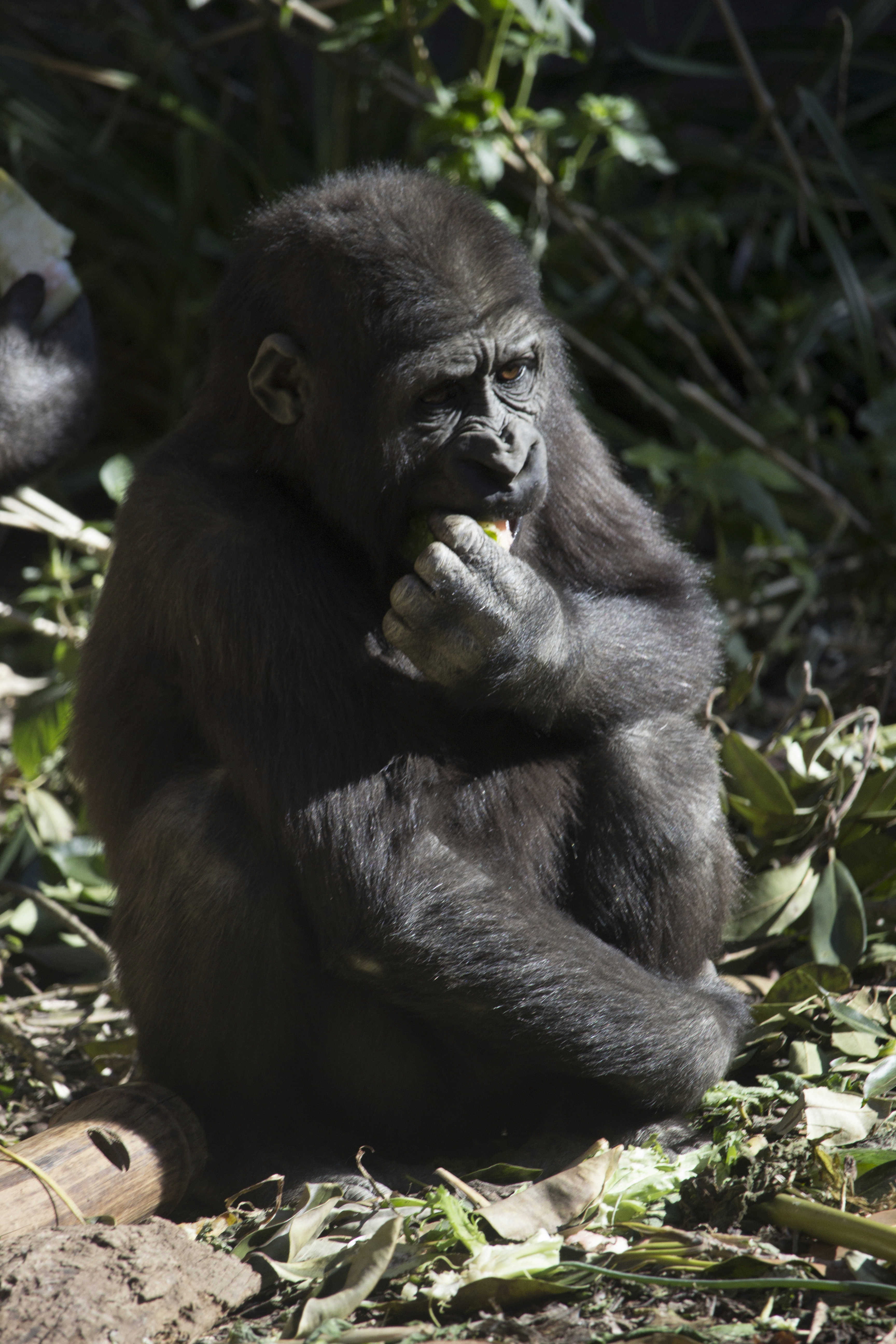 z003.jpg?mtime=20180821142305#asset:7792