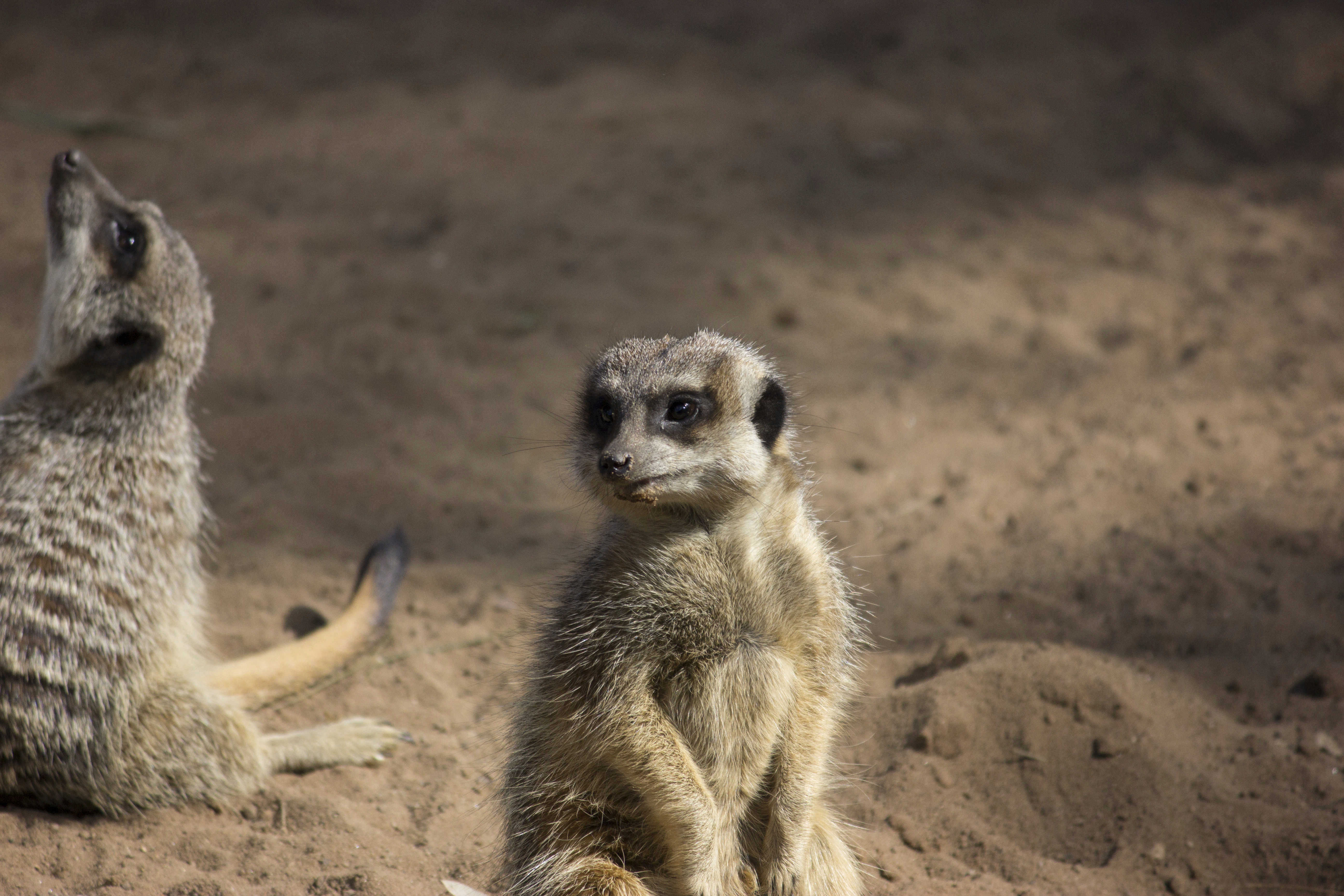 z004.jpg?mtime=20180821142309#asset:7793