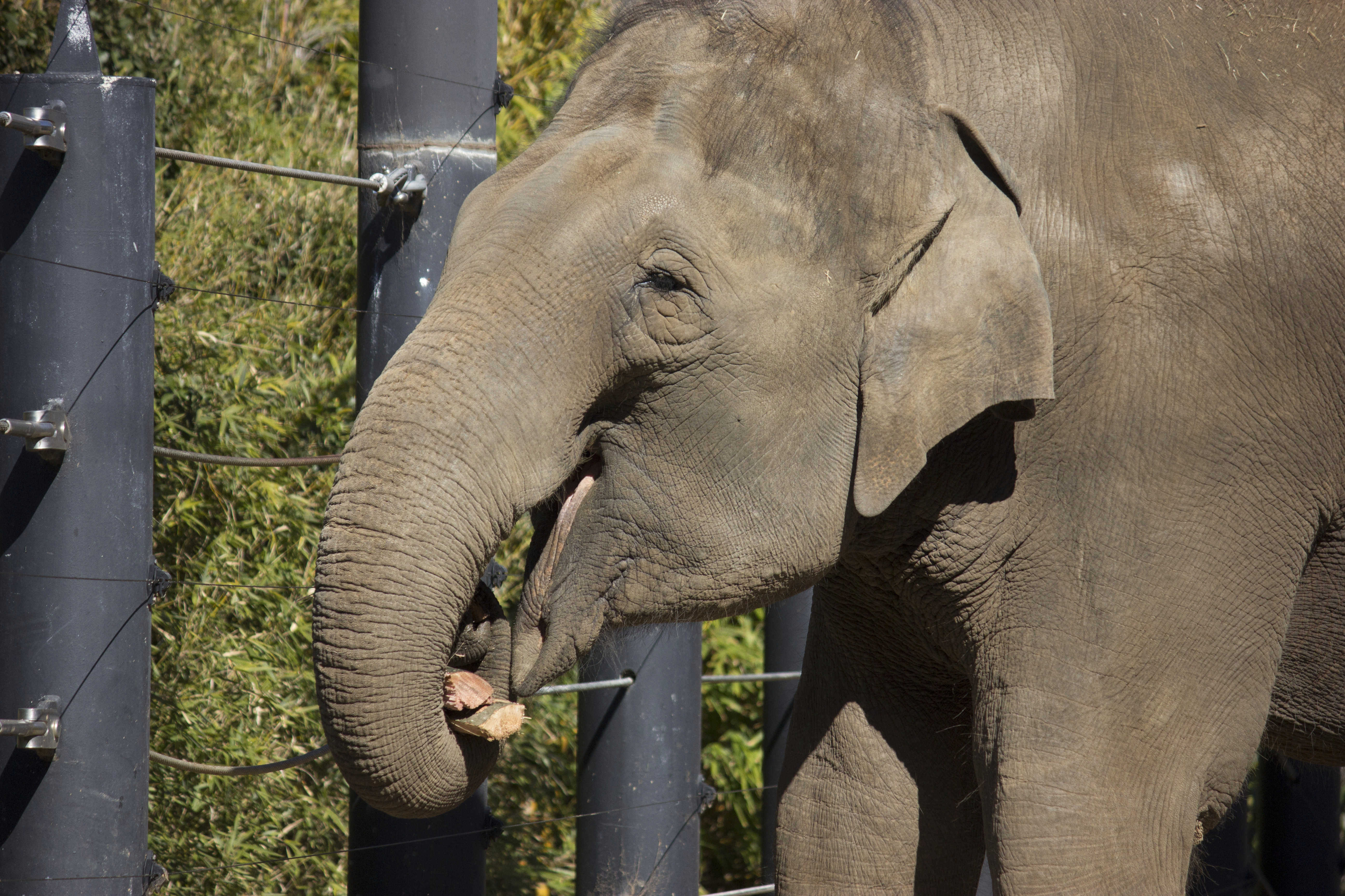 z005.jpg?mtime=20180821142311#asset:7794