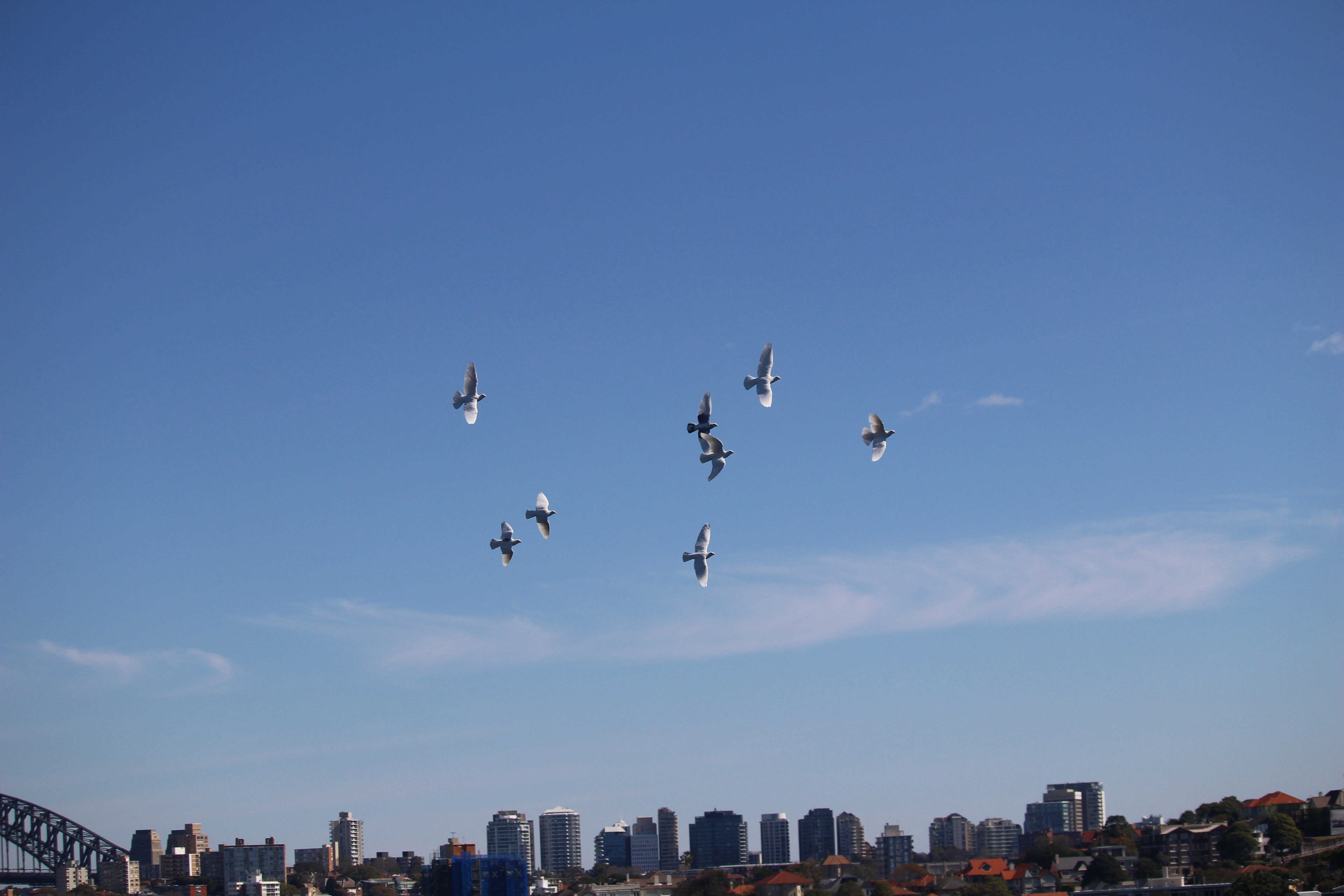 zzIMG_6991.jpg?mtime=20180821142319#asset:7797