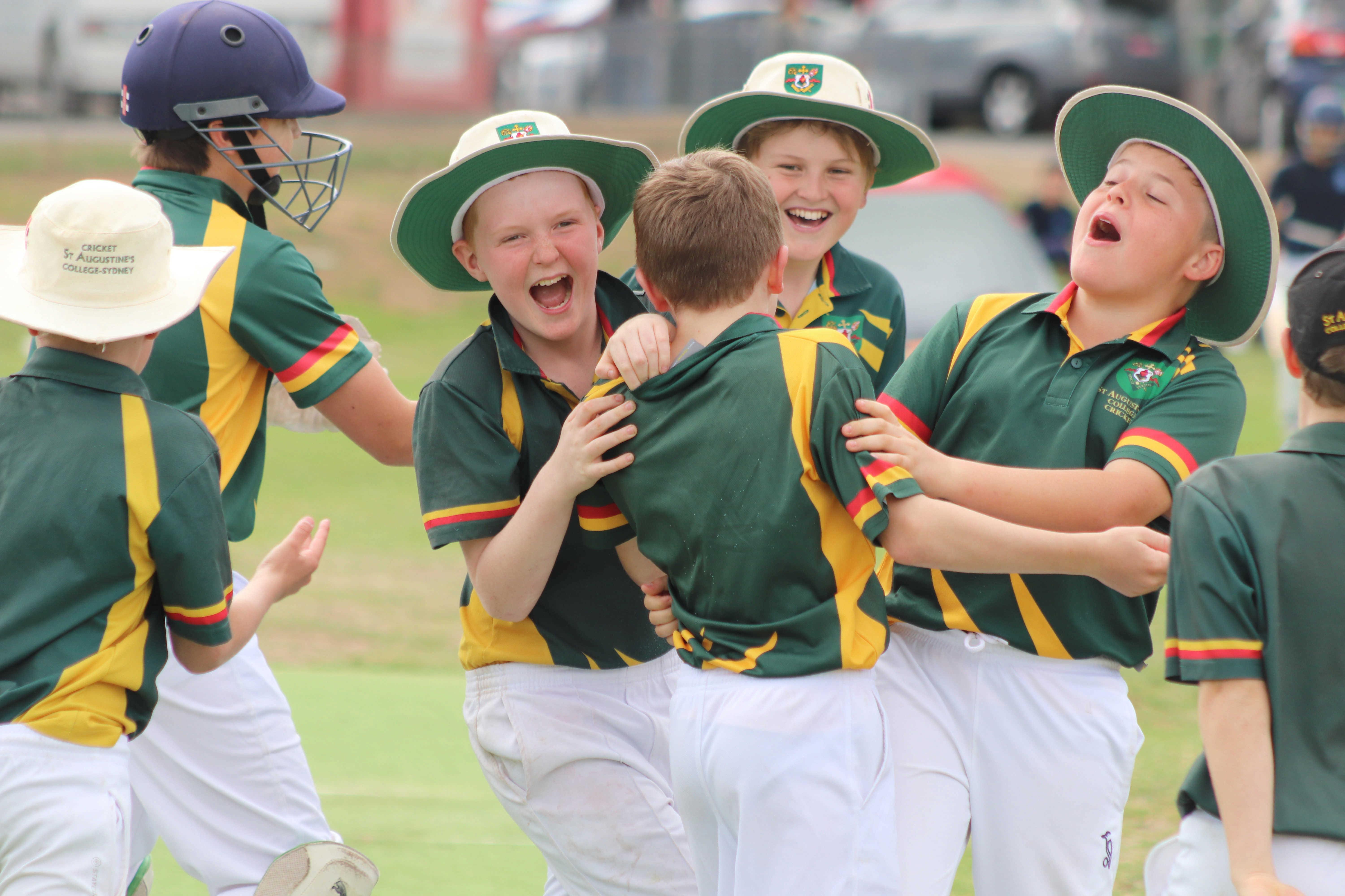 MTS-cricket-3.jpg?mtime=20180926112049#asset:8935