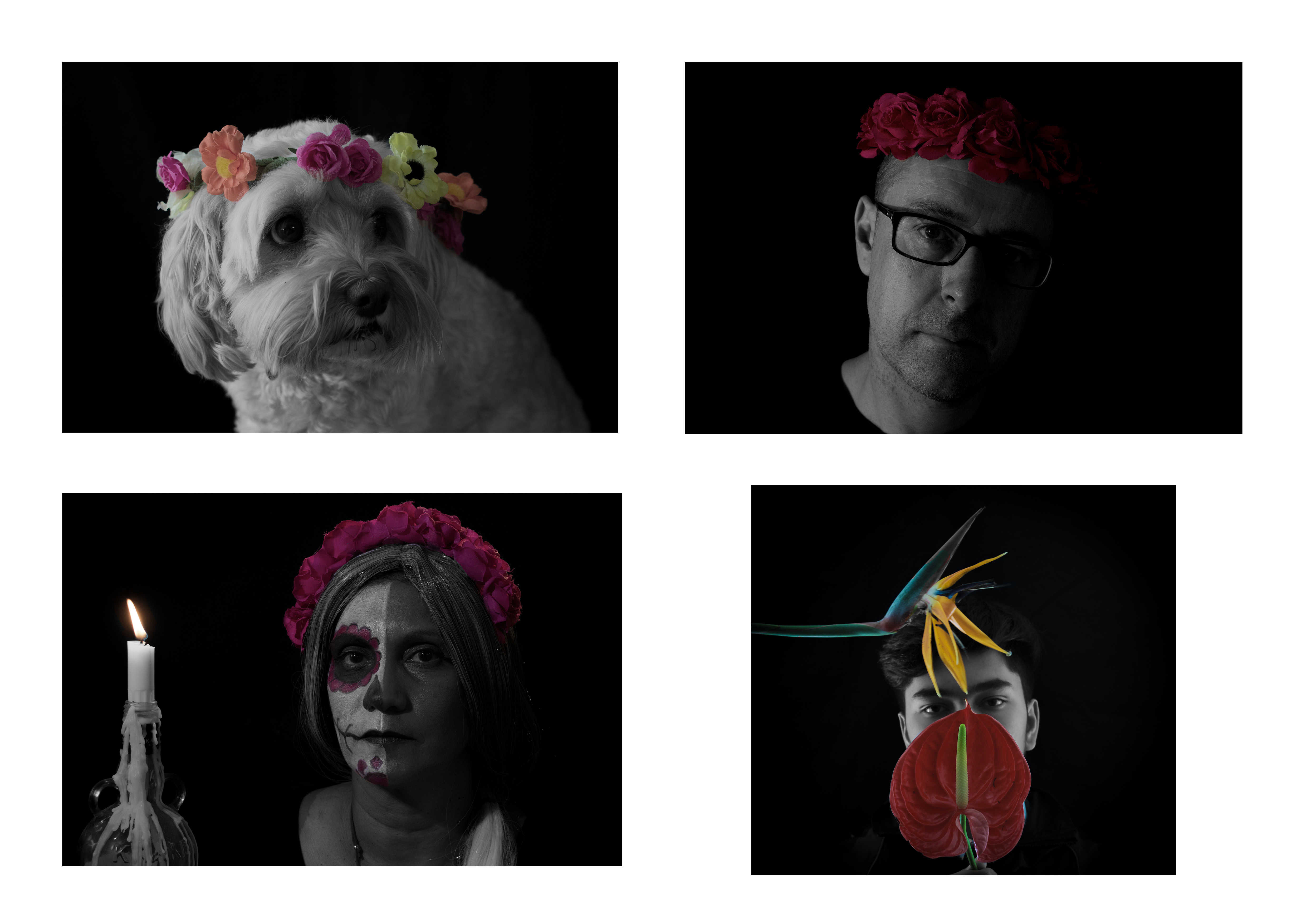 Year9pdm2.jpg?mtime=20181120142504#asset:10000